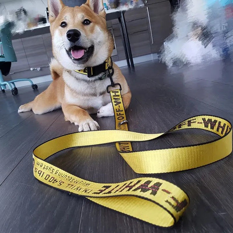 Off White 犬 首輪 ブランドコピー と ペット用品犬服 コピーオススメ Scarletigucu ウィキ Atwiki アットウィキ