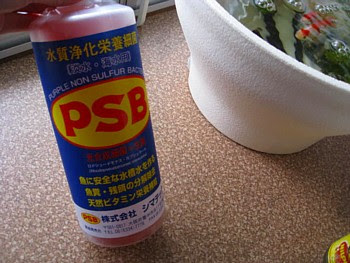 水槽の水の汚れにおすすめシマテック Psb 水質浄化栄養細菌 パピネンの小鳥エコ倶楽部