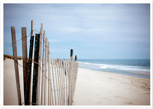 Springtime at the Beach