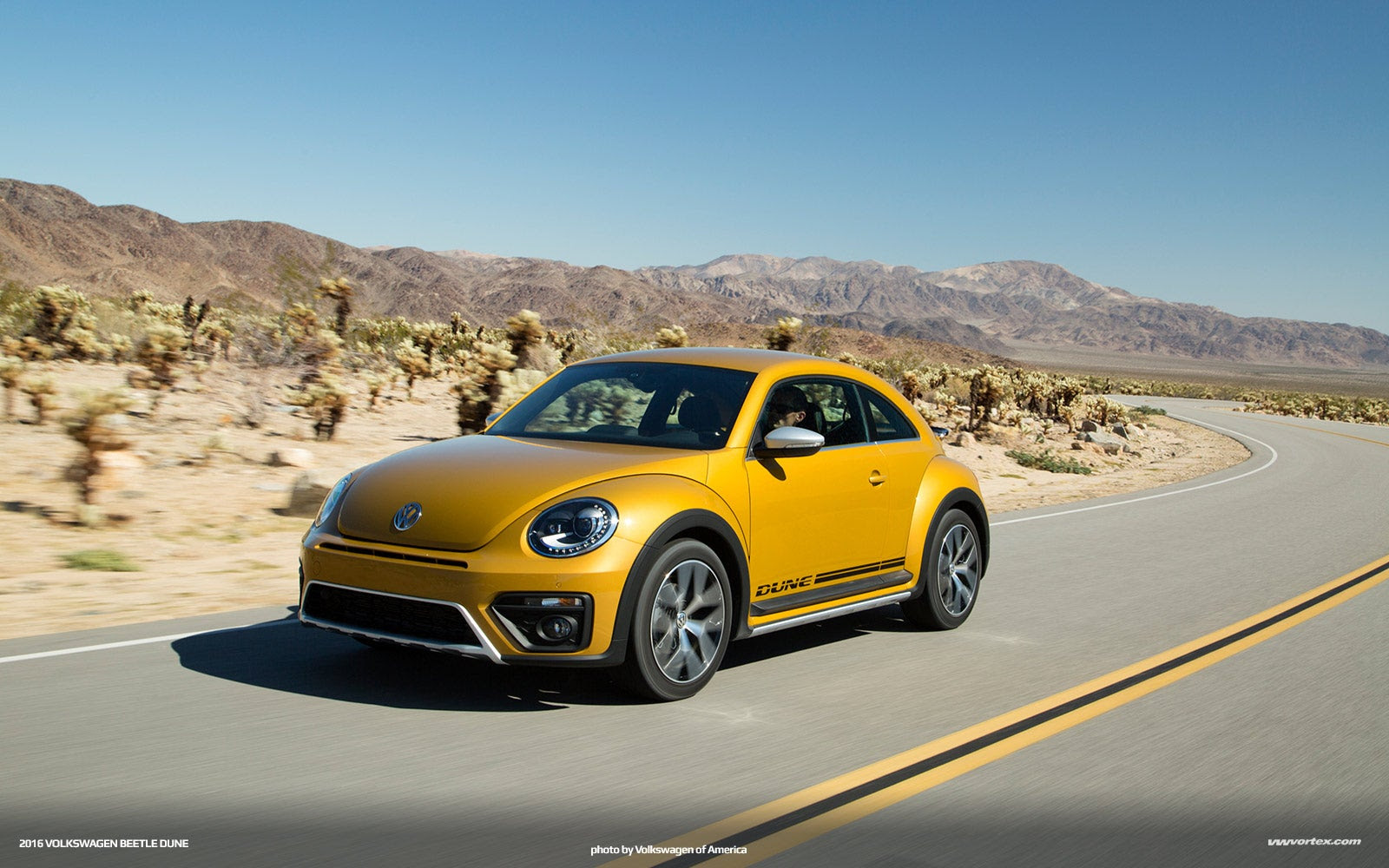 Beetle-Dune-11