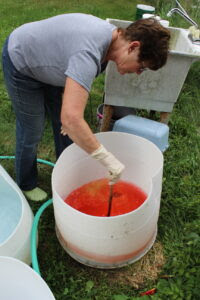 Rinsing out the dye