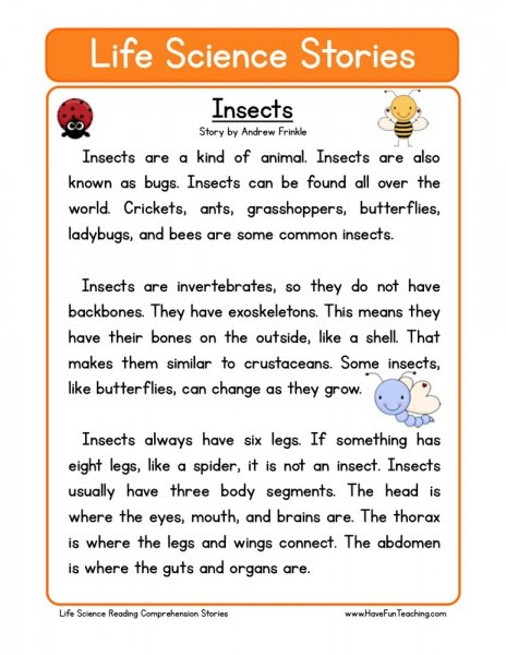 Reading Comprehension Worksheet - Insects