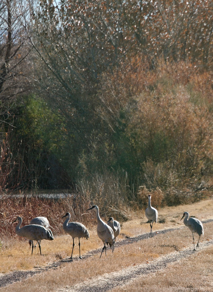 Just Taking a Walk
