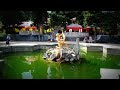 Video Алушта.