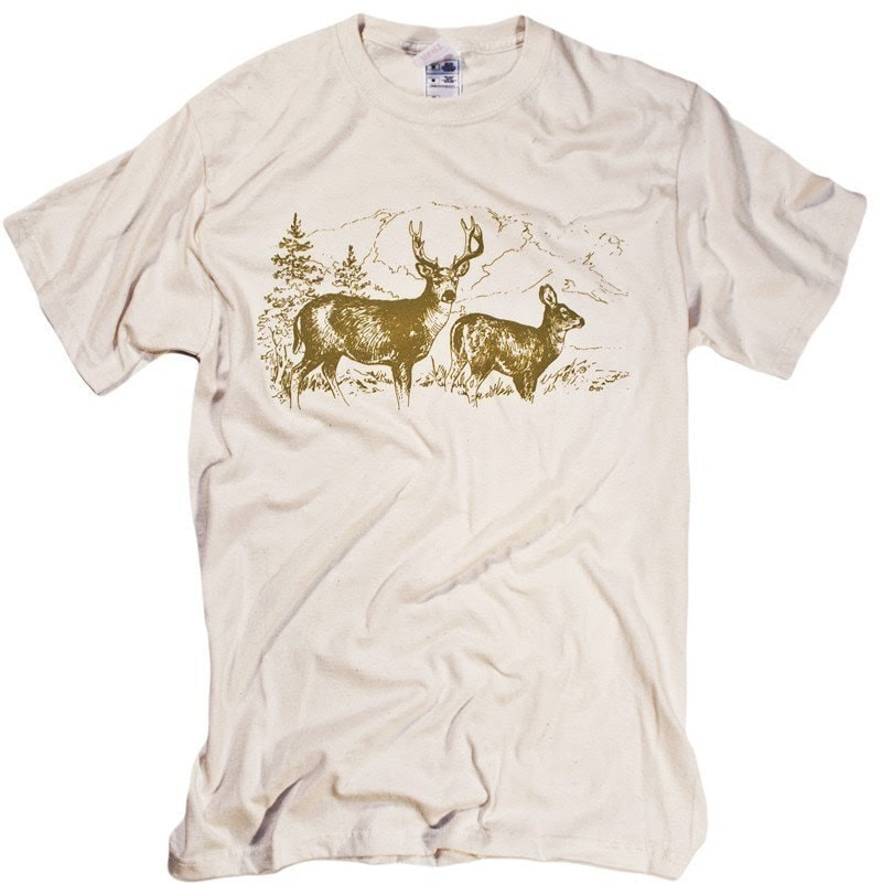 Coniferous forests,