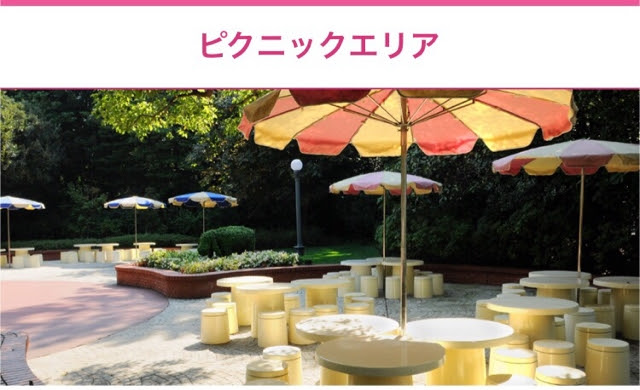 子連れの見方 ディズニーのピクニックエリア失敗談 混雑時のおすすめ 育児ブログぷっぷくほっぺ