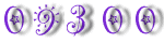 Web Site Hit Counters