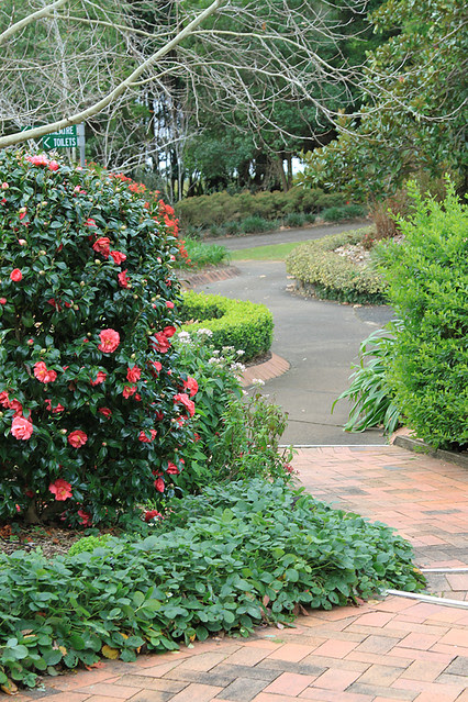 NoosaBotanicGardens5