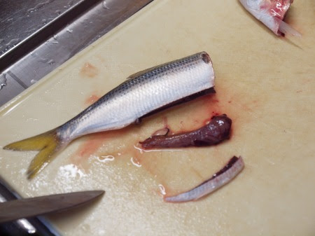 コノシロのさばき方 刺身の切り方 盛り付け方 魚料理と簡単レシピ