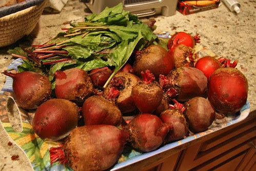 beet harvest
