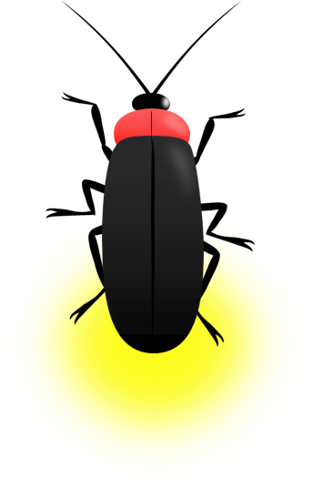 ゲンジボタル 発光 のイラスト 無料イラスト素材 ちいさないきもの