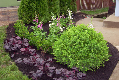 75 Beautiful Landscaping Pictures  Ideas October 2020