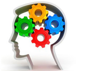 So, Don’t Miss an Opportunity Anymore!