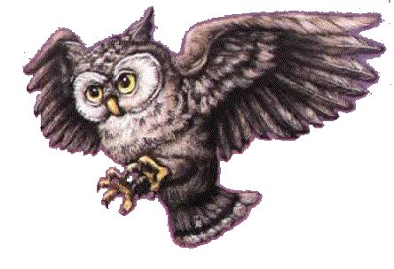 Download Harry Potter Owl Svg Free - Happy Living