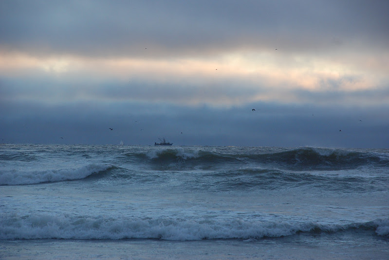 Cape Disappointment