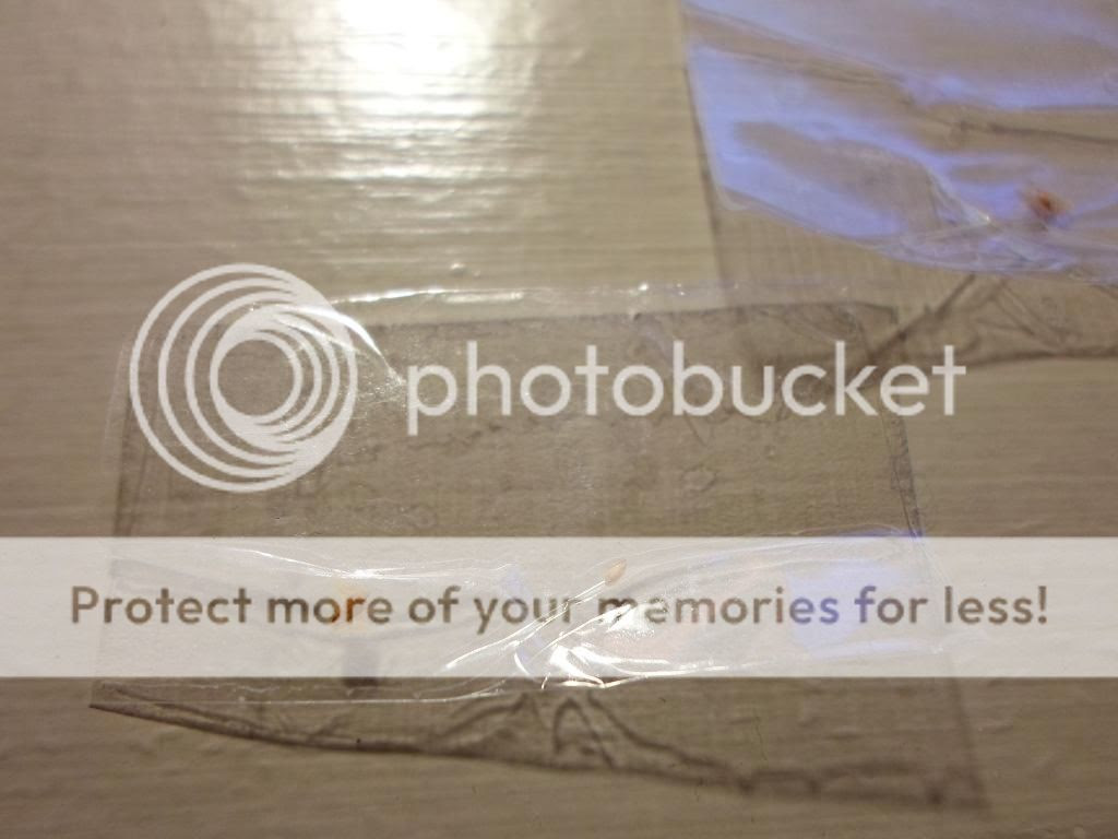 ... Shedding [a: not bed bug related] Â« Got Bed Bugs? Bedbugger Forums