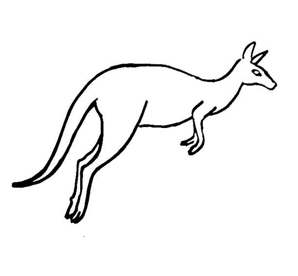 Tree Kangaroo Drawing | Free download on ClipArtMag
