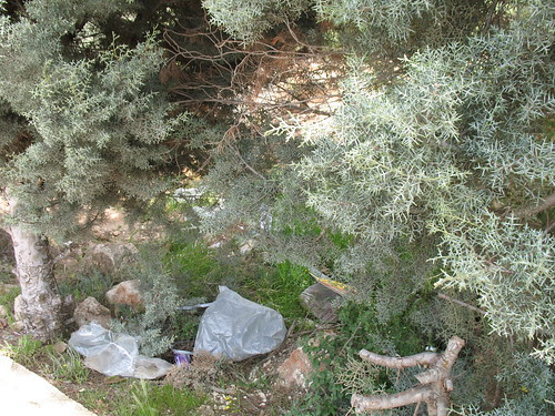 garbage garden1