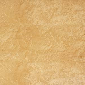Birds  on Birds Eye Maple   San Francisco 49ers Photos