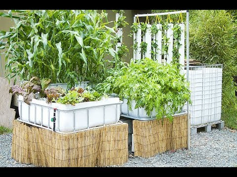 hydroponics for beginners hydroponics - youtube