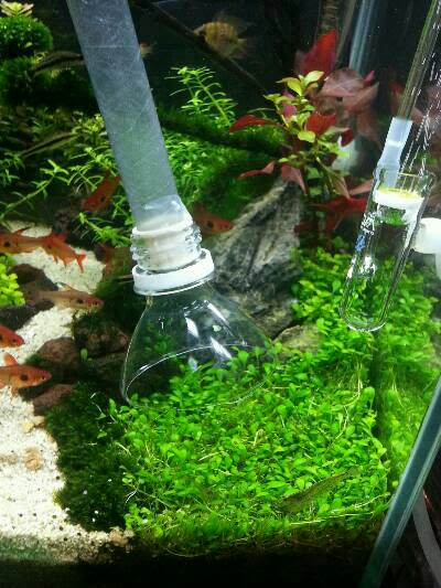 アクアリウム 癒しを求めて 小道のある水草レイアウト水槽日記 アクア三昧 トリミングにｇｅｘそうじやさん アジャスター自作