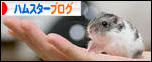 にほんブログ村 ハムスターブログへ
