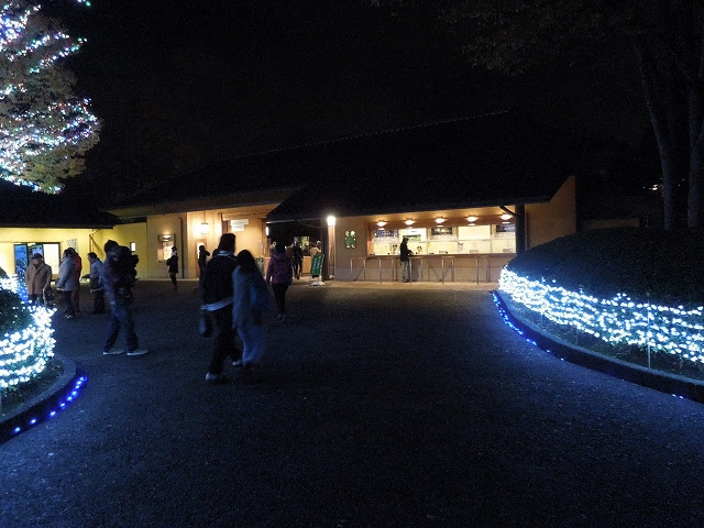 関西デートスポット 遊び場 なばなの里 イルミネーション 12 13