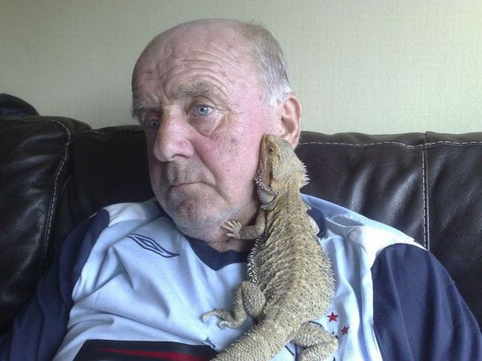 Home Zoo (40 pics)