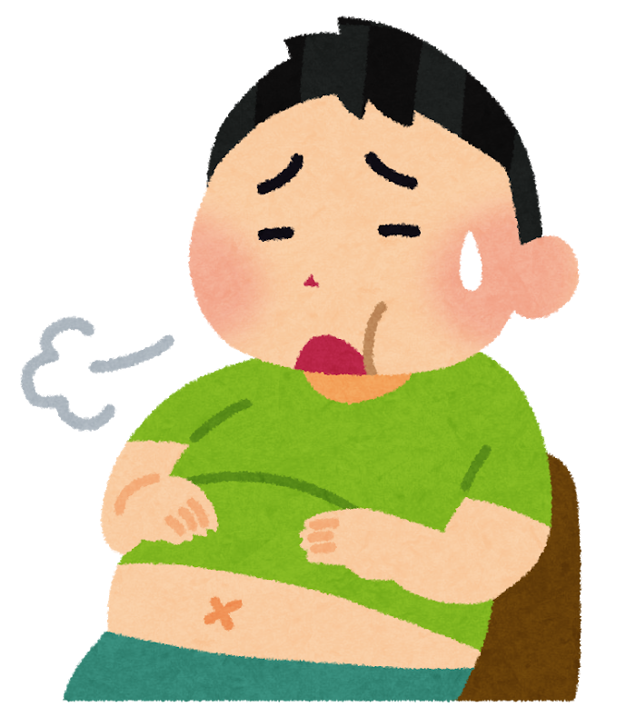 食べ過ぎた 時々日記
