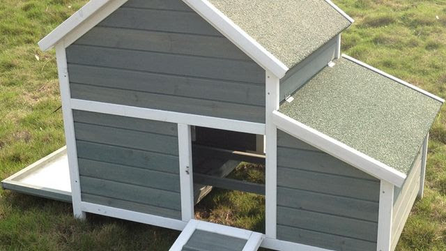 Construire Un Poulailler Tous Nos Conseils Côté Maison