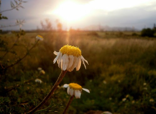 Atardecer de Primavera