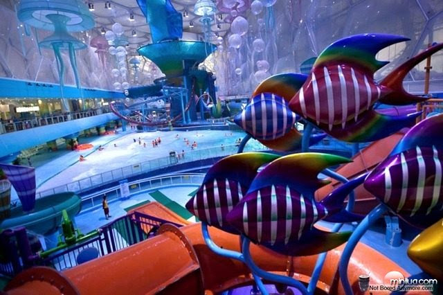 Happy Magic Water Park - Not Bored Anymore (2)