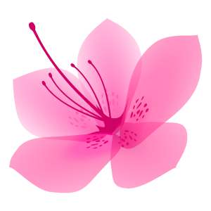サツキの花1 花 植物イラスト Flode Illustration フロデイラスト