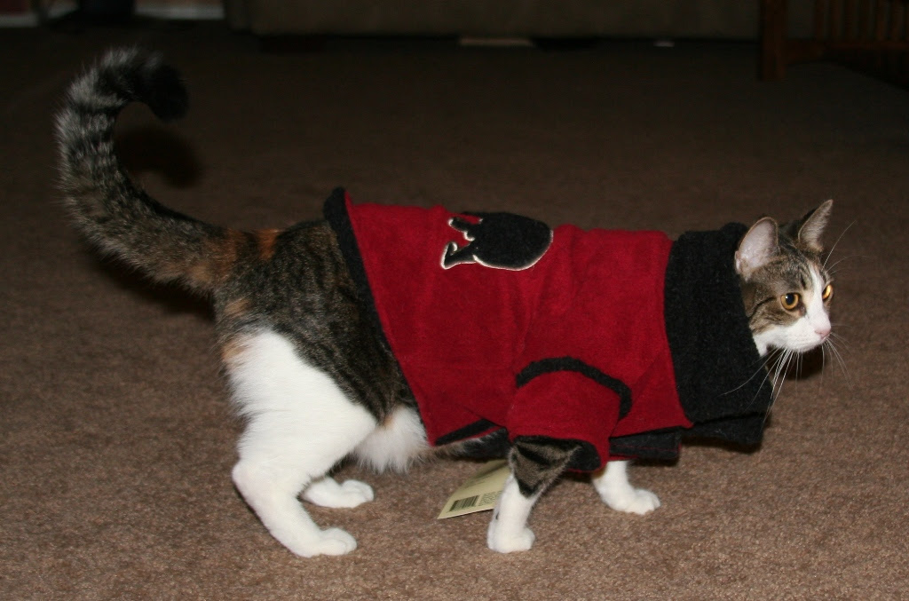 IMG_1619_NinaWithJacket2