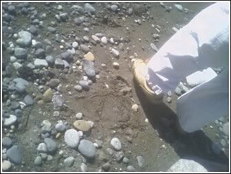Image hosted by Photobucket.com