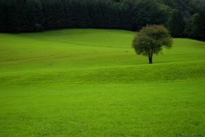 Being Alone doesn\'t have to be Lonley....