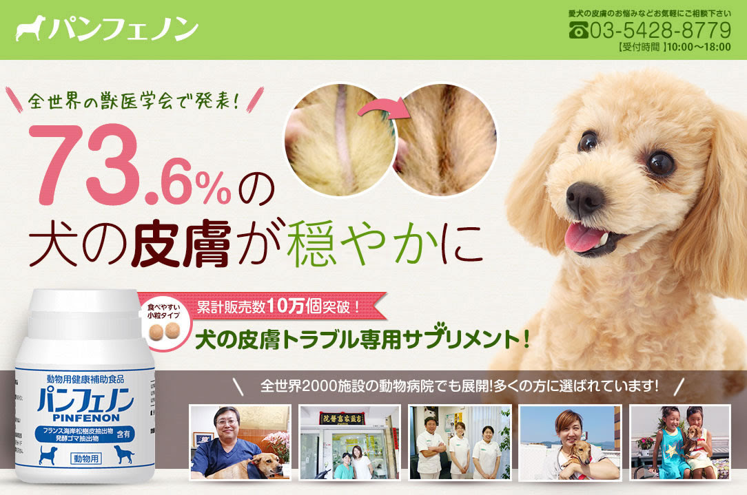 犬 皮膚病 スケアクロウパンフェノン