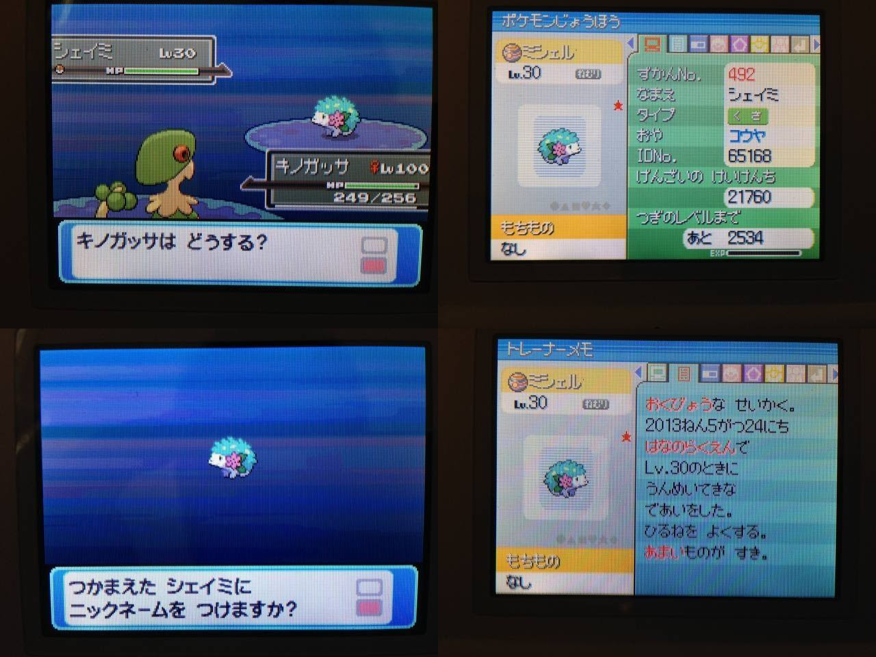色違い シェイミ 日々ポケモン