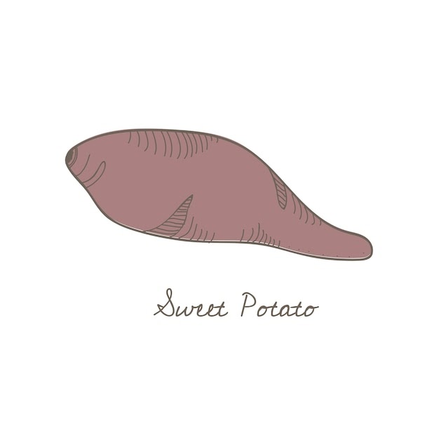 Download 350 Sweet Potato Svg SVG PNG EPS DXF File for Cricut, Silhouette and Other Machine