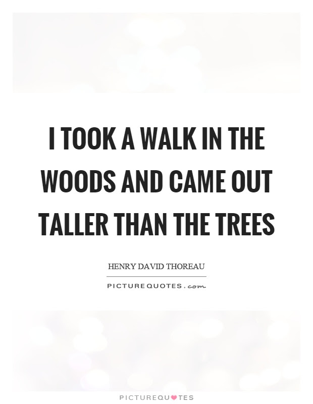 I Took A Walk In The Woods And Came Out Taller Than The Trees Picture Quotes