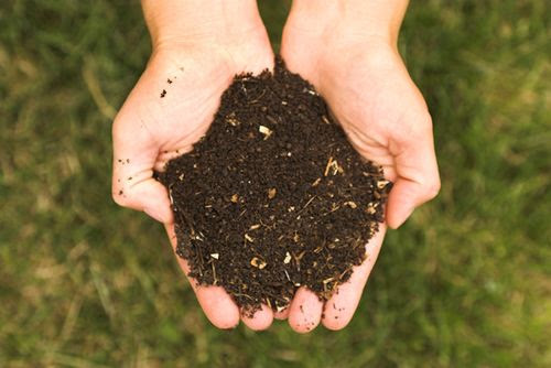Compost 3