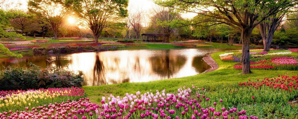花园背景图片下载 免费高清花园背景设计素材 图精灵