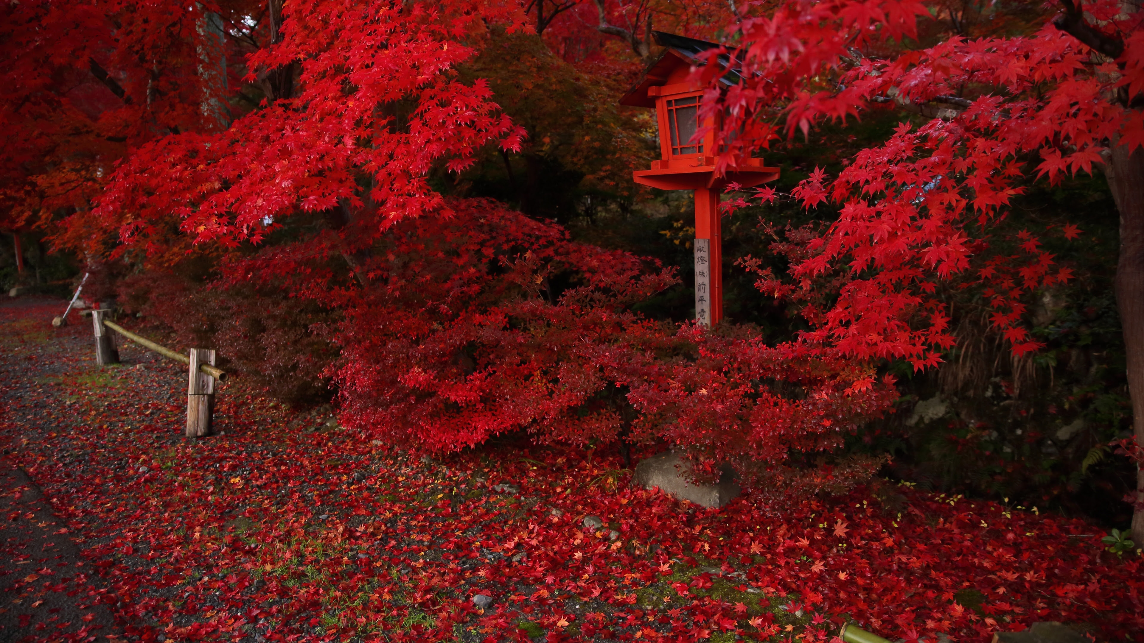 4ｋ Ultrahd の壁紙 計10枚 壁紙 日々駄文