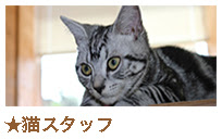 猫カフェ ちぐら