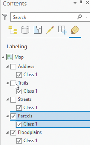 Working with Label Classes