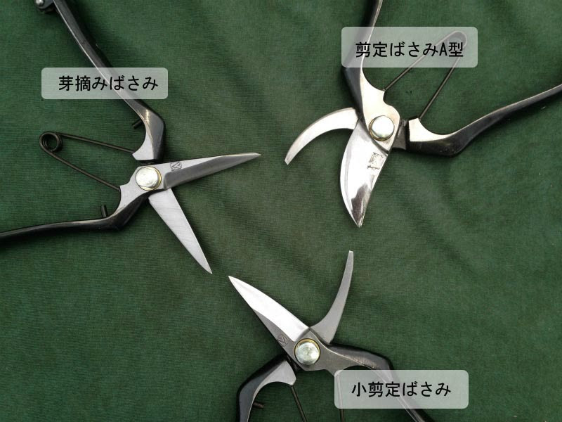 まつおえんげいスタッフブログ 剪定ハサミ