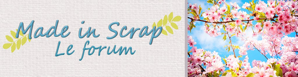 Modo & admin Forum Made in Scrap