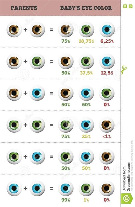 august 2018 template calendar design
