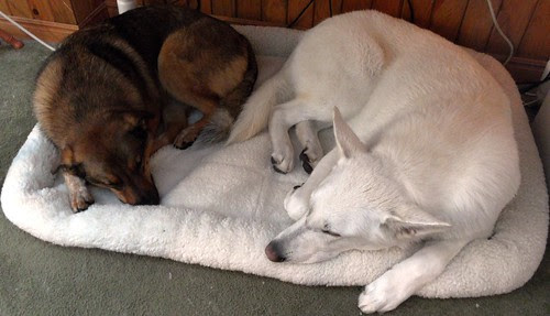 July - the boys under my desk