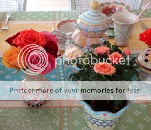  photo a4fd6848-7eb2-4287-bf6e-1d65d921390b.jpg